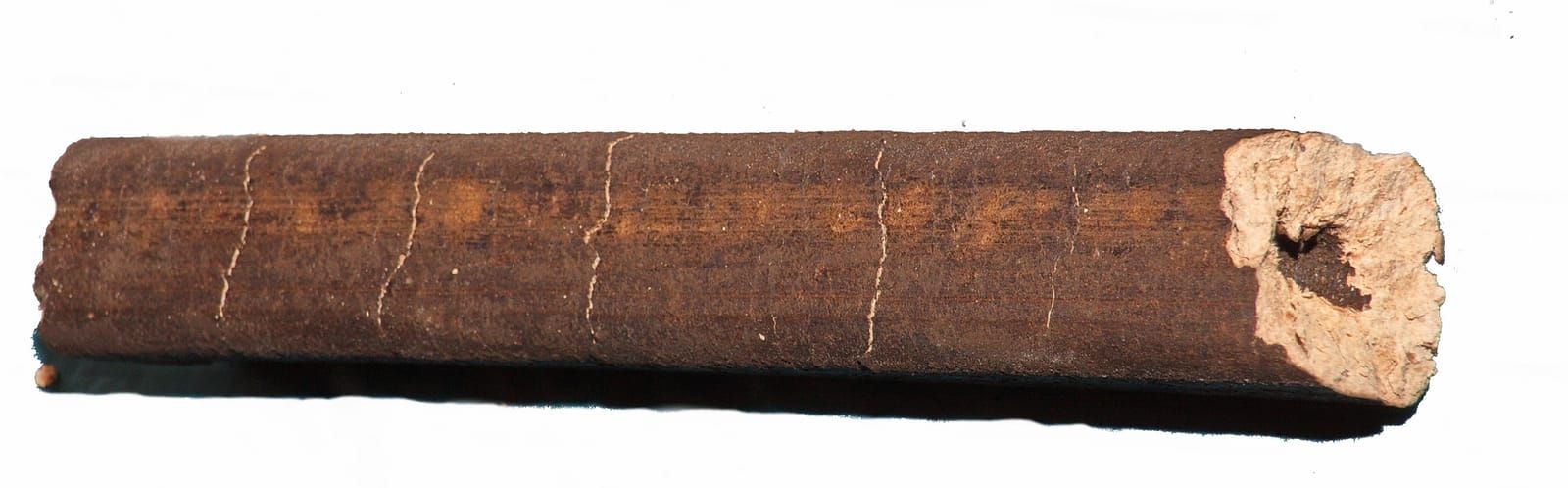 Bricchetta di legno pressato a forma di tronchetto con foro centrale