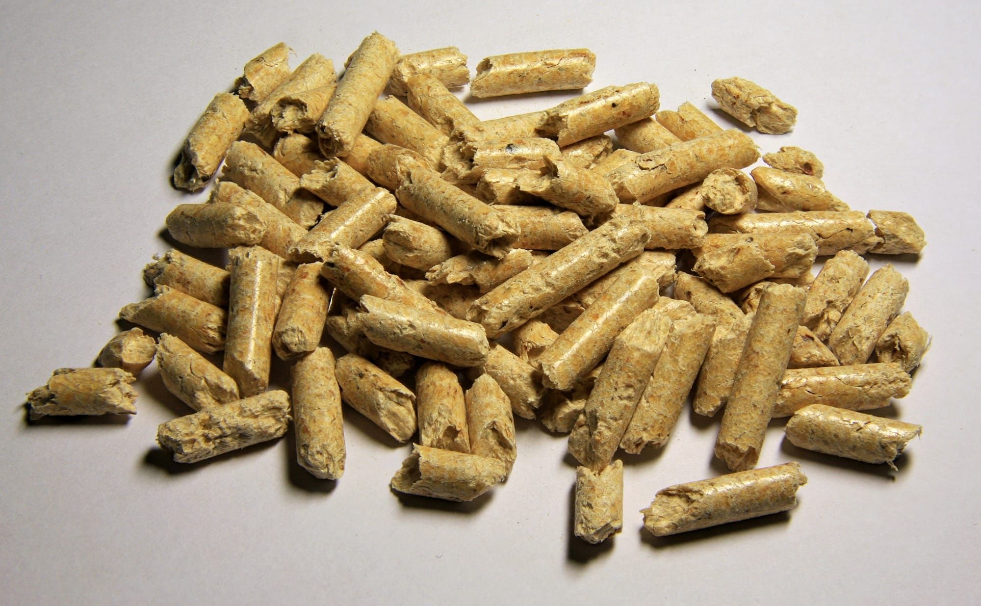 Mucchio di pellet di legno chiaro su fondo bianco